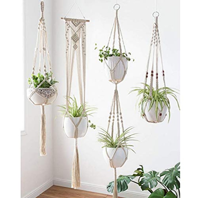 植物ハンガーネット 6