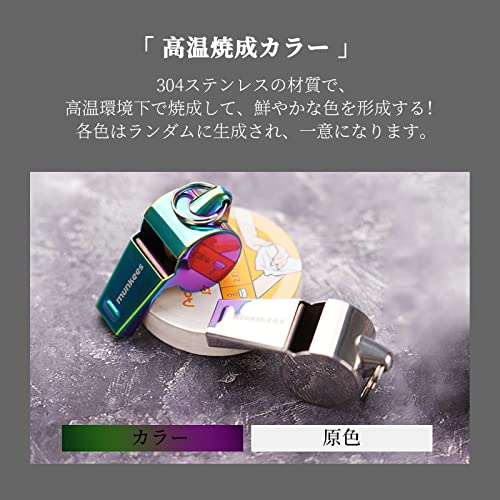 ホイッスル 5