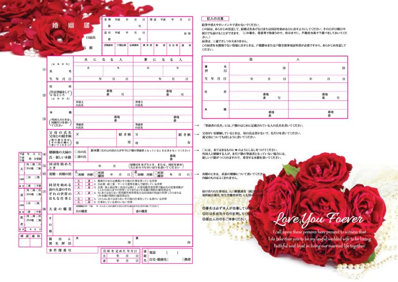 22年 婚姻届のおすすめ人気ランキング40選 Mybest