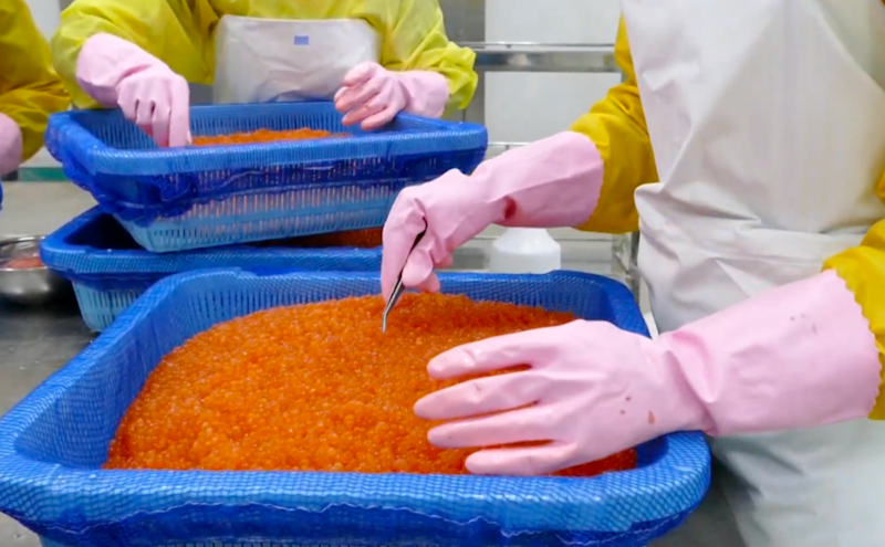 おこっぺのいくら醬油漬250g 4