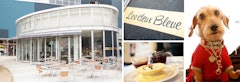 東京都内のドッグカフェおすすめ人気ランキング選 サロン ホテル付きのお店も Mybest