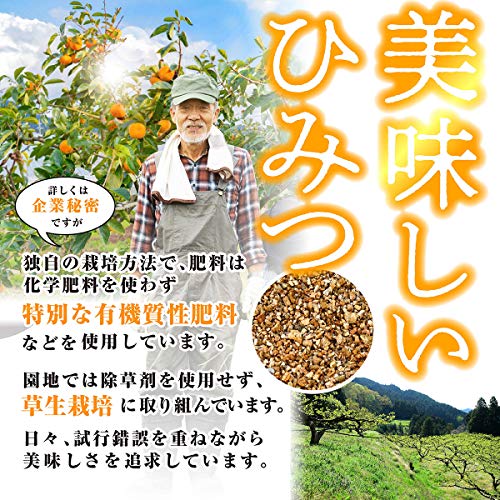 野菜ソムリエ監修 和歌山県産  柿 2