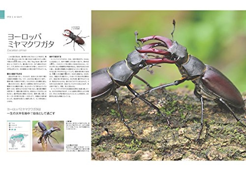 驚くべき世界の野生動物生態図鑑 6