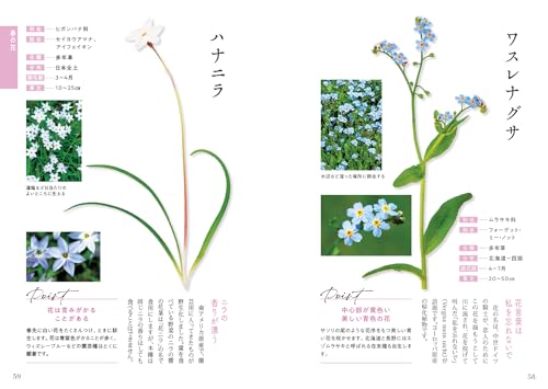 散歩でよく見る花図鑑 3