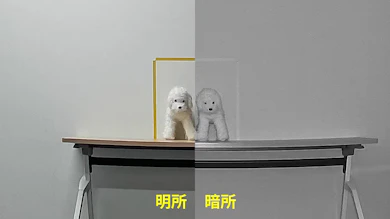 暗くても離れたペットの顔まで見分けられる!明所でもしっかり見える