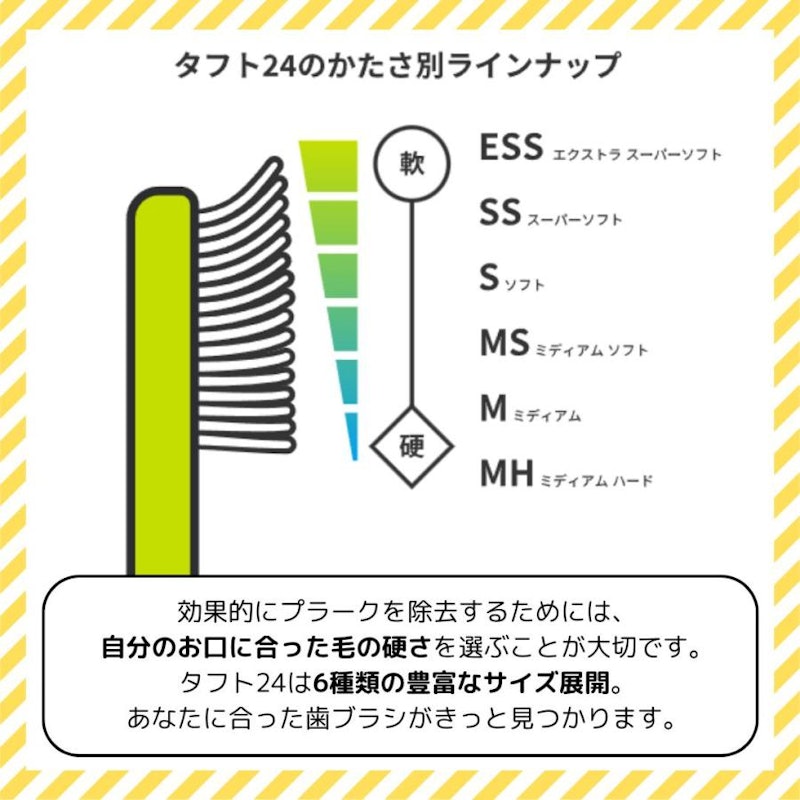 タフト24 5