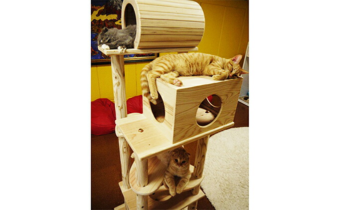 猫まみれツリーハウス 3
