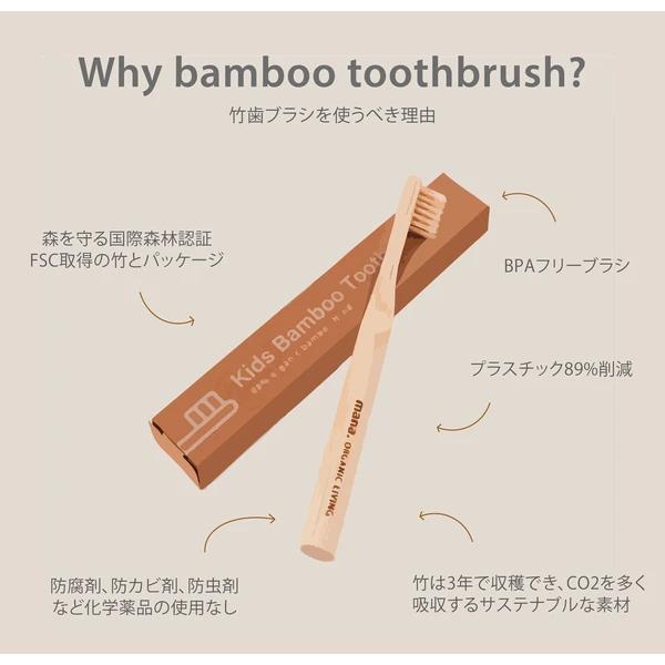 竹歯ブラシ 10
