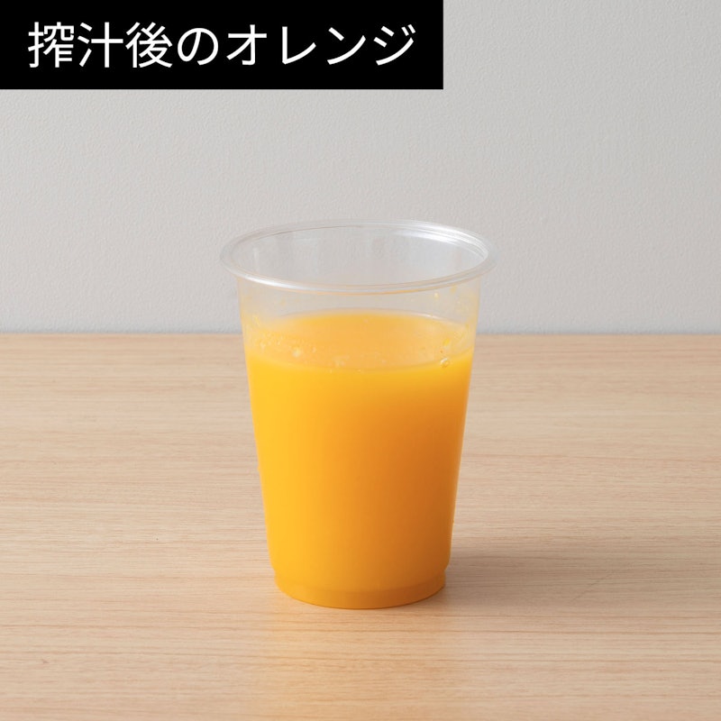 コールドプレスジューサー ミニ 9