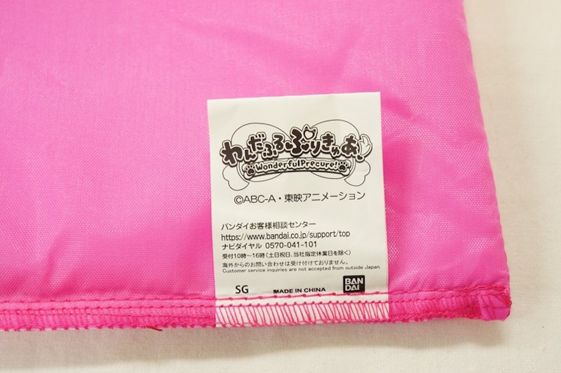 わんだふるぷりきゅあ レッスンバッグ 4