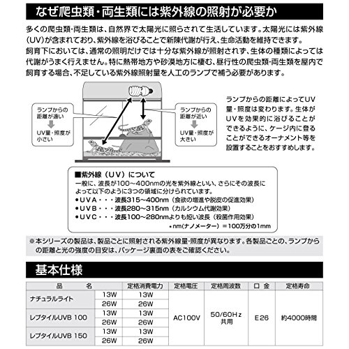 ナチュラルライト  5
