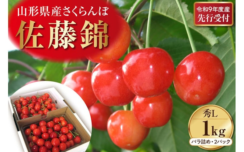 佐藤錦 1