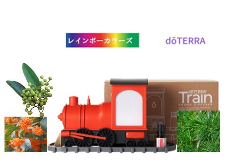 トレインディフューザー 1