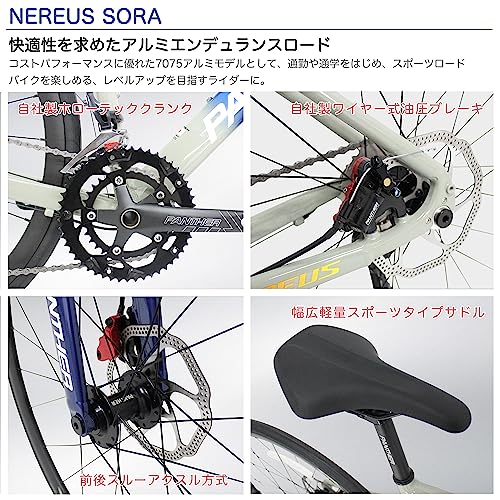 Nereus Sora 5