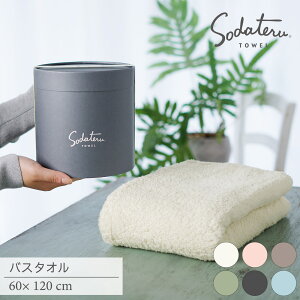 バスタオル 1