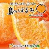 はるみのみかんのおすすめ人気ランキング【2026年5月】 5