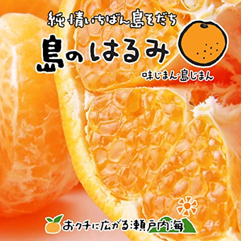 希望の島 はるみ 家庭用 1