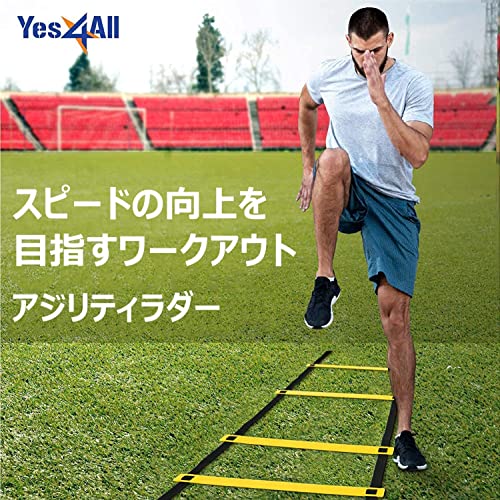 トレーニングラダー 4