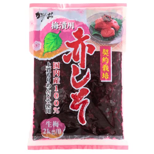 赤しそ 1