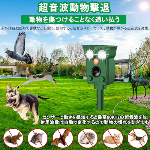動物撃退器 2
