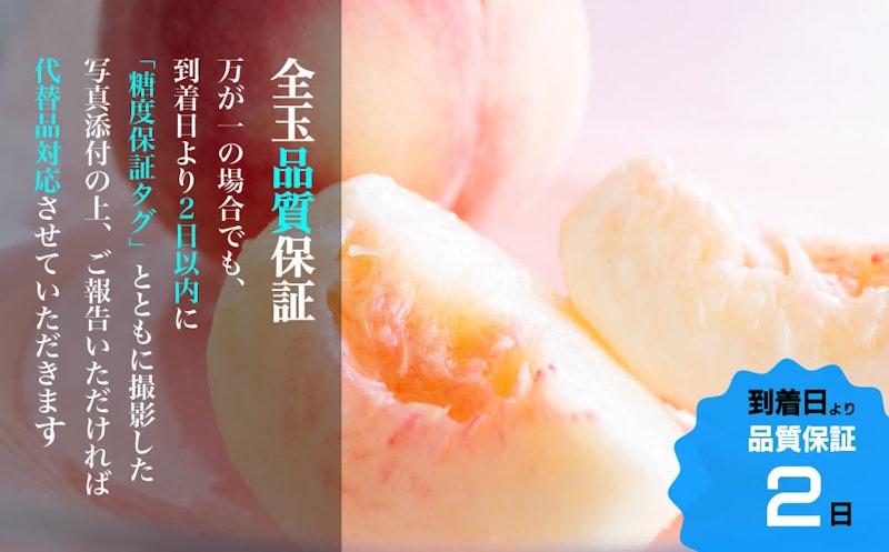 一宮の大玉桃 3