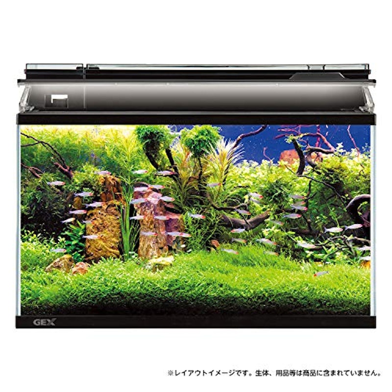 22年 熱帯魚用水槽のおすすめ人気ランキング18選 Mybest 22年 熱帯魚用水槽のおすすめ人気ランキング18選 Mybest