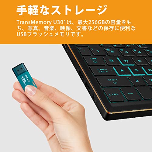USBフラッシュメモリ 5