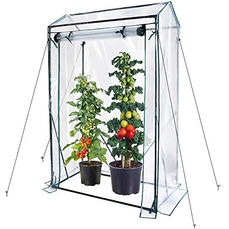22年 家庭用温室のおすすめ人気ランキング34選 Mybest 22年 家庭用温室のおすすめ人気ランキング34選 Mybest