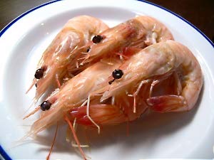 天使の海老 4