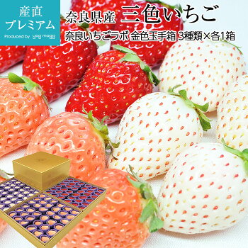 三色いちご 金色玉手箱 1