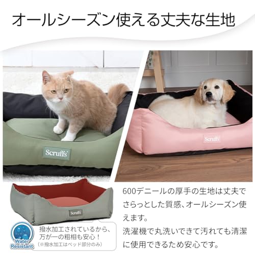 エクスペディション ボックス ベッド 2