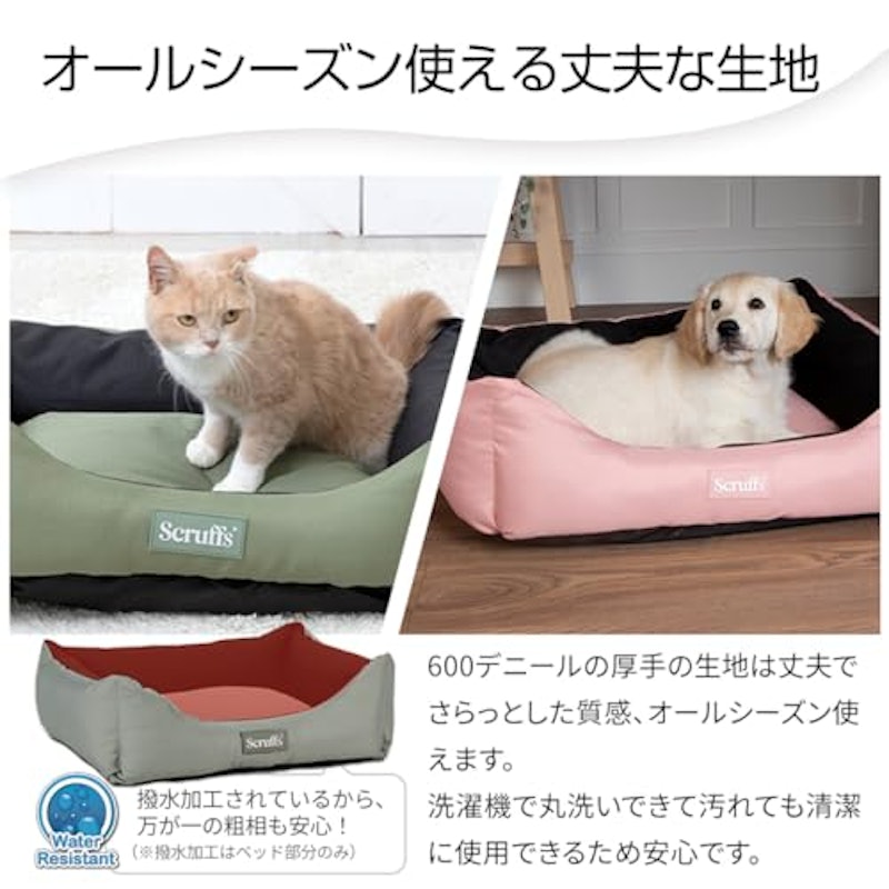 エクスペディション ボックス ベッド 2