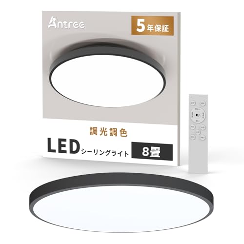 LEDシーリングライト 1