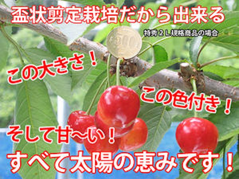 メッセージさくらんぼ 2