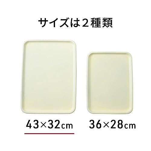 抗菌カラートレー 4