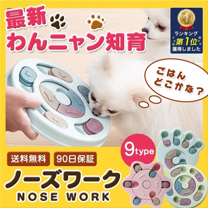 ノーズワーク 1