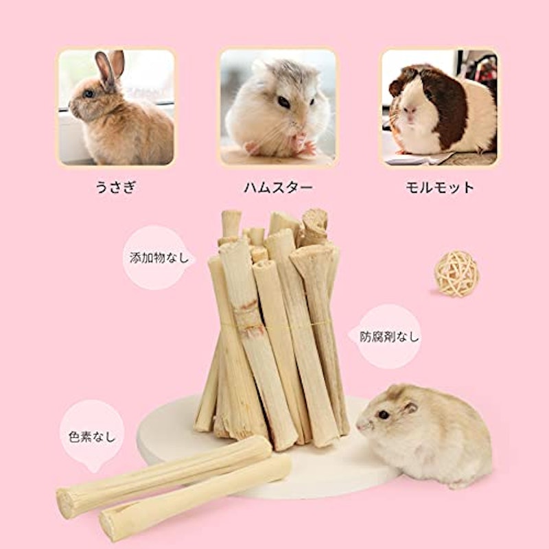 22年 かじり木のおすすめ人気ランキング35選 ハムスター うさぎ デグーにも Mybest 22年 かじり木のおすすめ人気ランキング35選 ハムスター うさぎ デグーにも Mybest