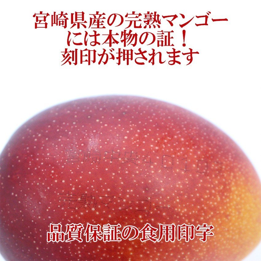 完熟マンゴー 太陽のタマゴ 5