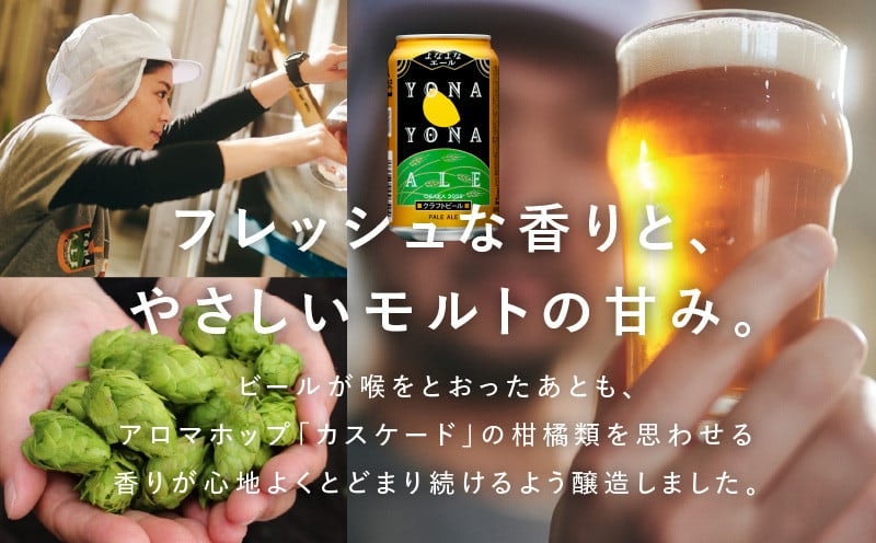 よなよなエール 24本 定期便 全12回 5