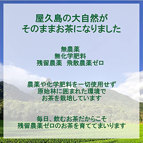 屋久島粉末緑茶 2