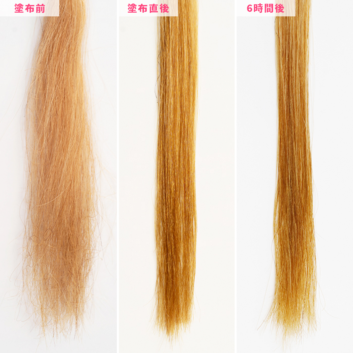 アメニモ H2o バランスケア ヘアオイルを全商品と比較 口コミや評判を実際に使ってレビューしました Mybest