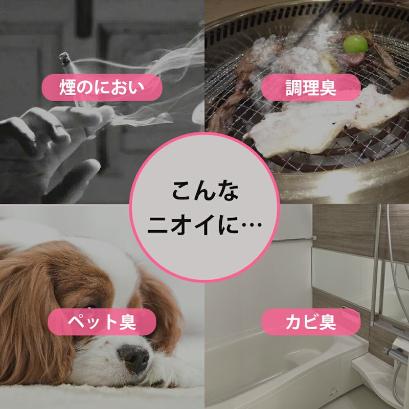 オゾン消臭器 5