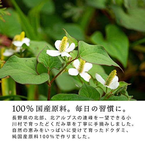 22年 どくだみ茶のおすすめ人気ランキング選 Mybest