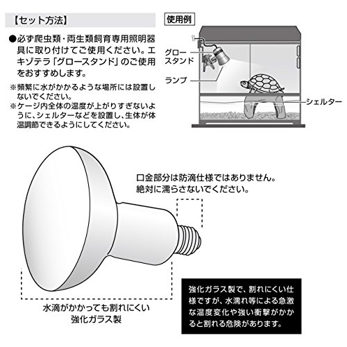 ガラス製 爬虫類飼育用ケージ 30cm ランプ　保温シートフル装備付き ガラス製 爬虫類飼育用ケージ 30cm ランプ 保温シートフル装備付き