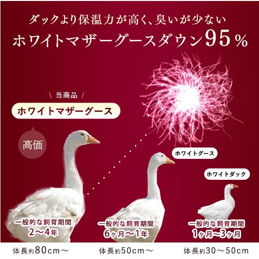 雪国の羽毛 4