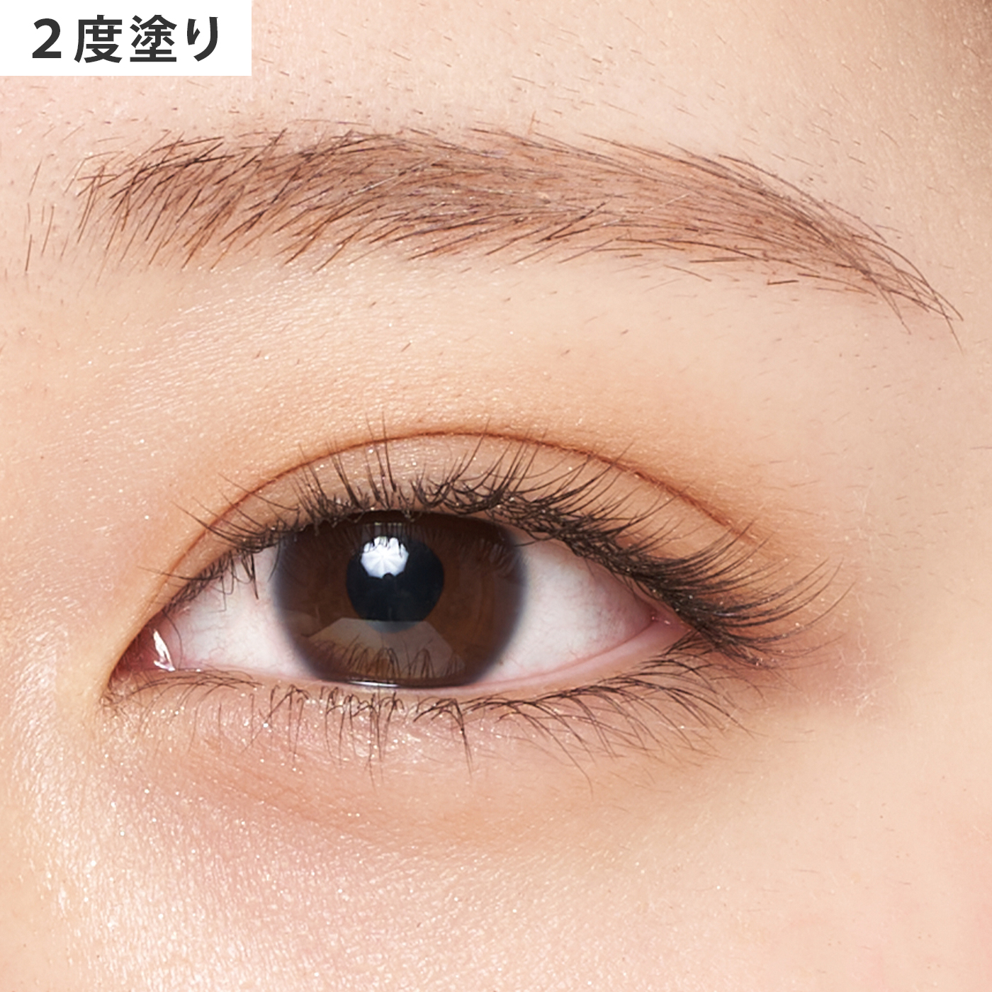 一重まぶた向けアイシャドウのおすすめ人気ランキング【2025年11月