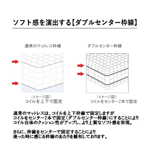 ポスチャーベーシック 7.7 F1Pソフト 5