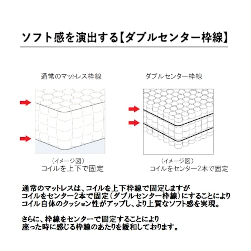 ポスチャーベーシック 7.7 F1Pソフト 5