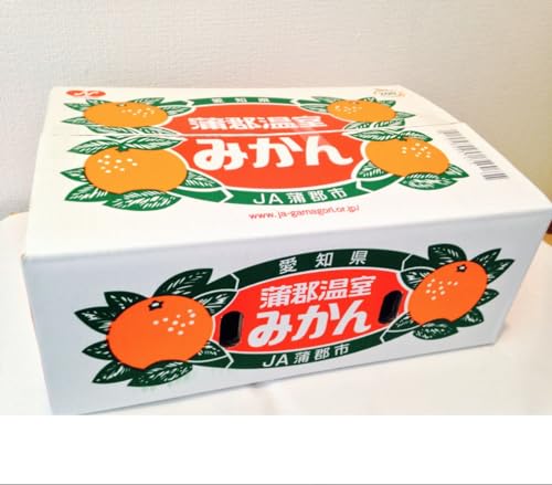 愛知産 蒲郡温室みかん 1