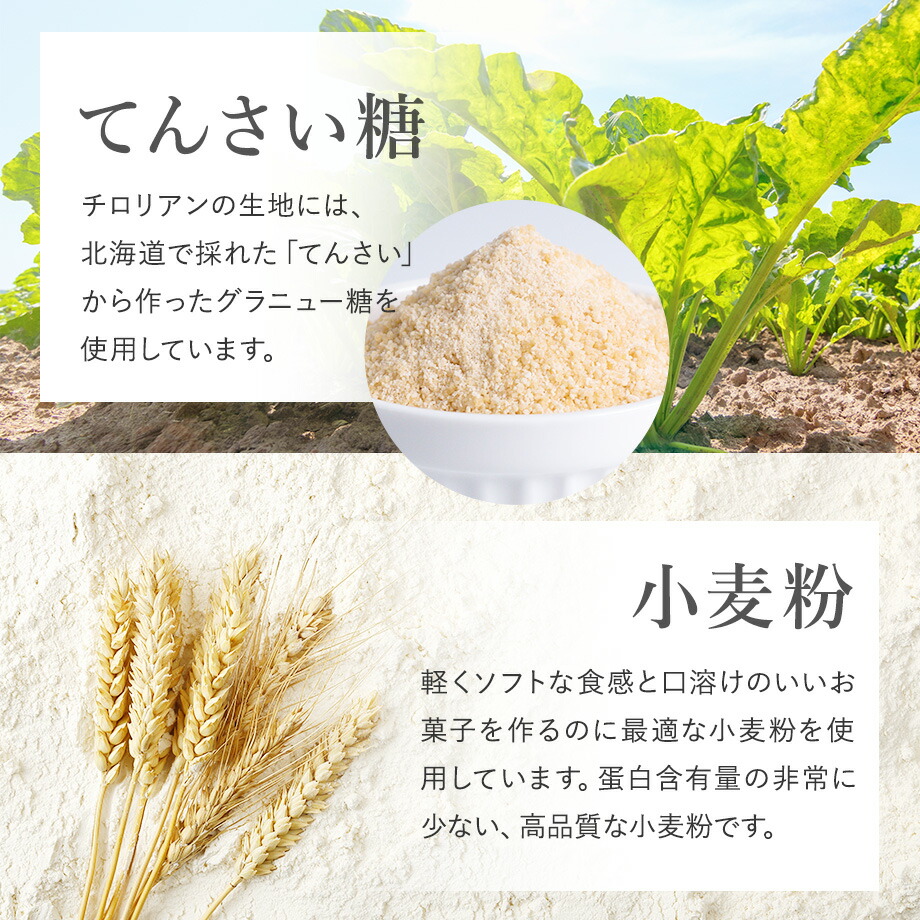 チロリアン 九州パラダイス詰め合わせ 10